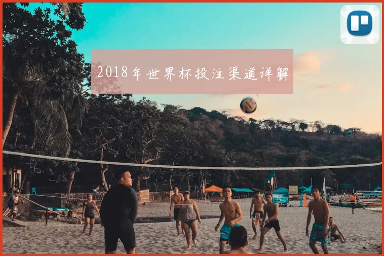 2018年世界杯投注渠道详解