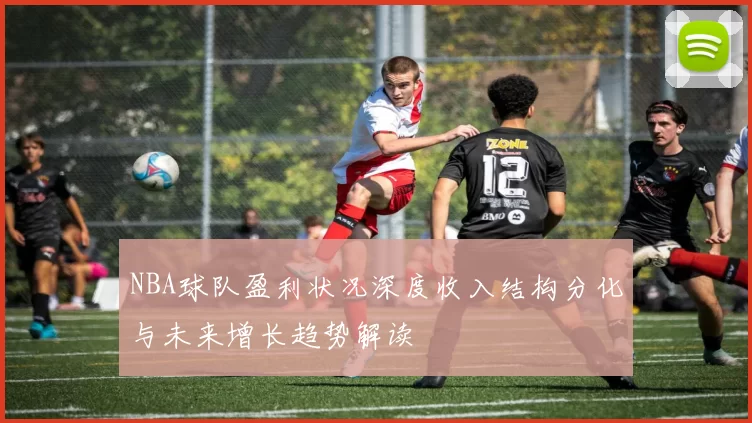 NBA球队盈利状况深度收入结构分化与未来增长趋势解读