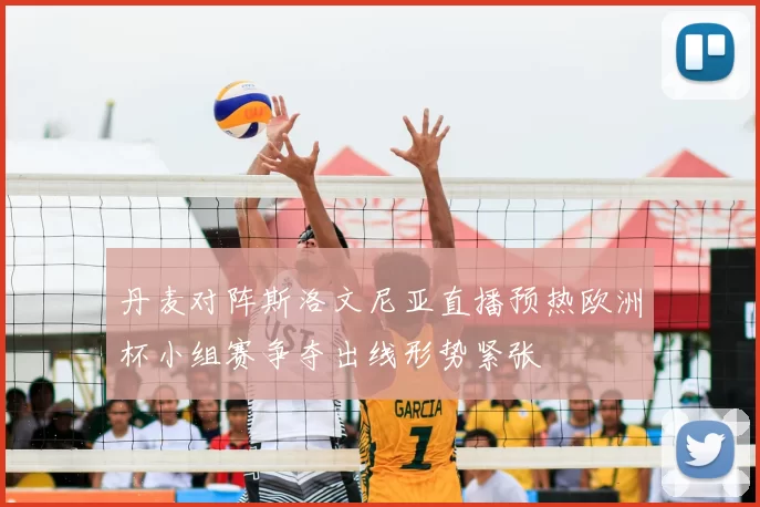 丹麦对阵斯洛文尼亚直播预热欧洲杯小组赛争夺出线形势紧张
