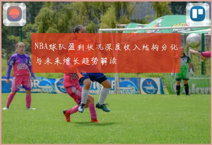 NBA球队盈利状况深度收入结构分化与未来增长趋势解读